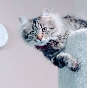 Meet your Posher, Lori